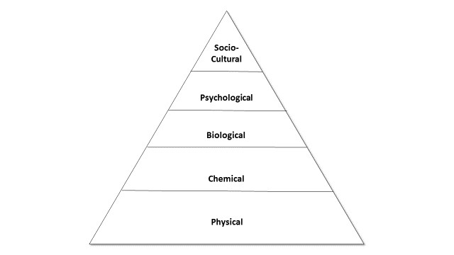 Figure 1 Pyramid of Science